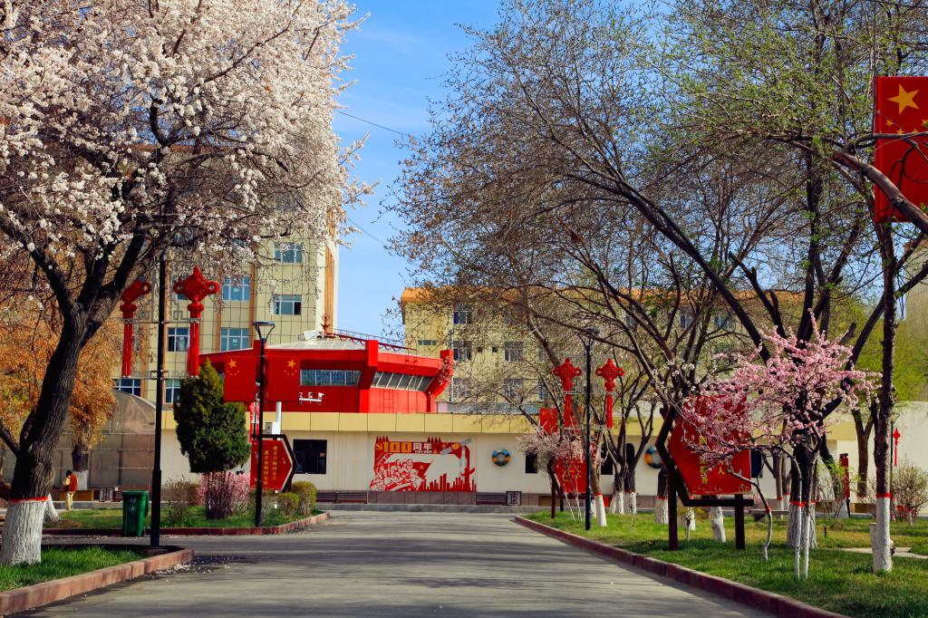 六和宝典2025年最新版港奥开奖