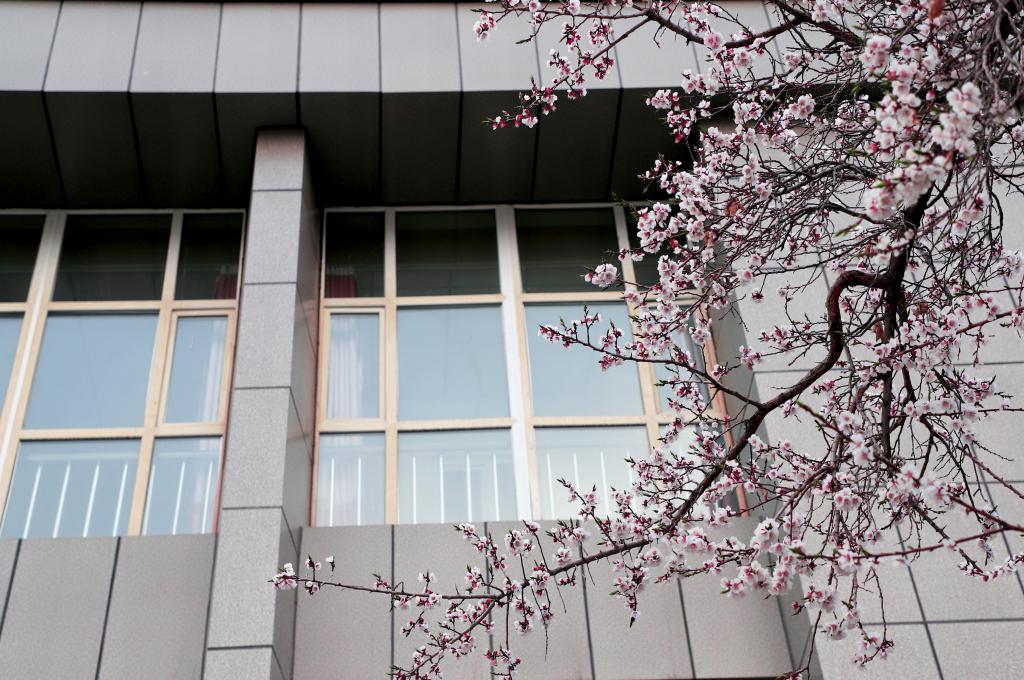 六和宝典2025年最新版港奥开奖